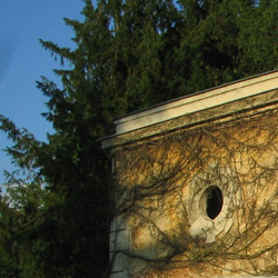 dimanche, encore un condensé d'enfance: l'arrosage de la pelouse, les rues vides sous le soleil, je pense: à l'école primaire, chaque étage était attribué à une classe, en fait.