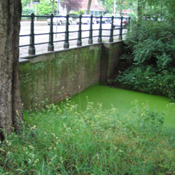 Il y a deux semaines: en Ruritanie, le ciel est si gris qu'un canal s'est pendu. / Two weeks ago: In Ruritania, the sky is so grey that a canal hung itself.