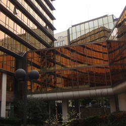 Et à Bruxelles aussi, dans le décor de plastique et d'amiante pour moi si beau des bureaucraties FrItaLux, je ne savais plus bien de quoi demain serait fait, ou devrait l'être.