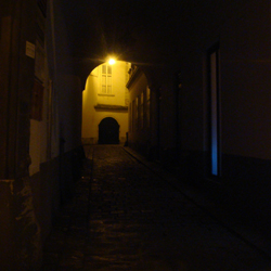 Et vraiment, Vienne engloutit d'abord comme un Tanger continental, connecte en interzone louche, fait un repère pour les proscrits, les aigrefins et les taupes. Comme dans un roman de Pierre-Jean Rémy, les rues de Vienne cachent de curieuses vieilles boutiques de livres anciens, qui sont peut-être aussi une façade pour d'autres trafics. Ces antiquariats poussiéreux, encombrés, leurs couloirs plein à ras bord de grimoires, semblent perpétuellement fermés. Ils affichent les horaires d'ouverture bornés et tout théoriques d'une église romaine.