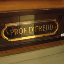 Ce n'est pas la ville de Freud pour rien. Il y a de la folie chez ces gens. Parfois, je me suis dit qu'ils sont frappés de crétinisme consanguin, alpin, et parfois j'y vois une neurasthénie fin-de-siècle qui les épuise de culture et de refoulement, un terrain fertile pour tous les fétichismes.